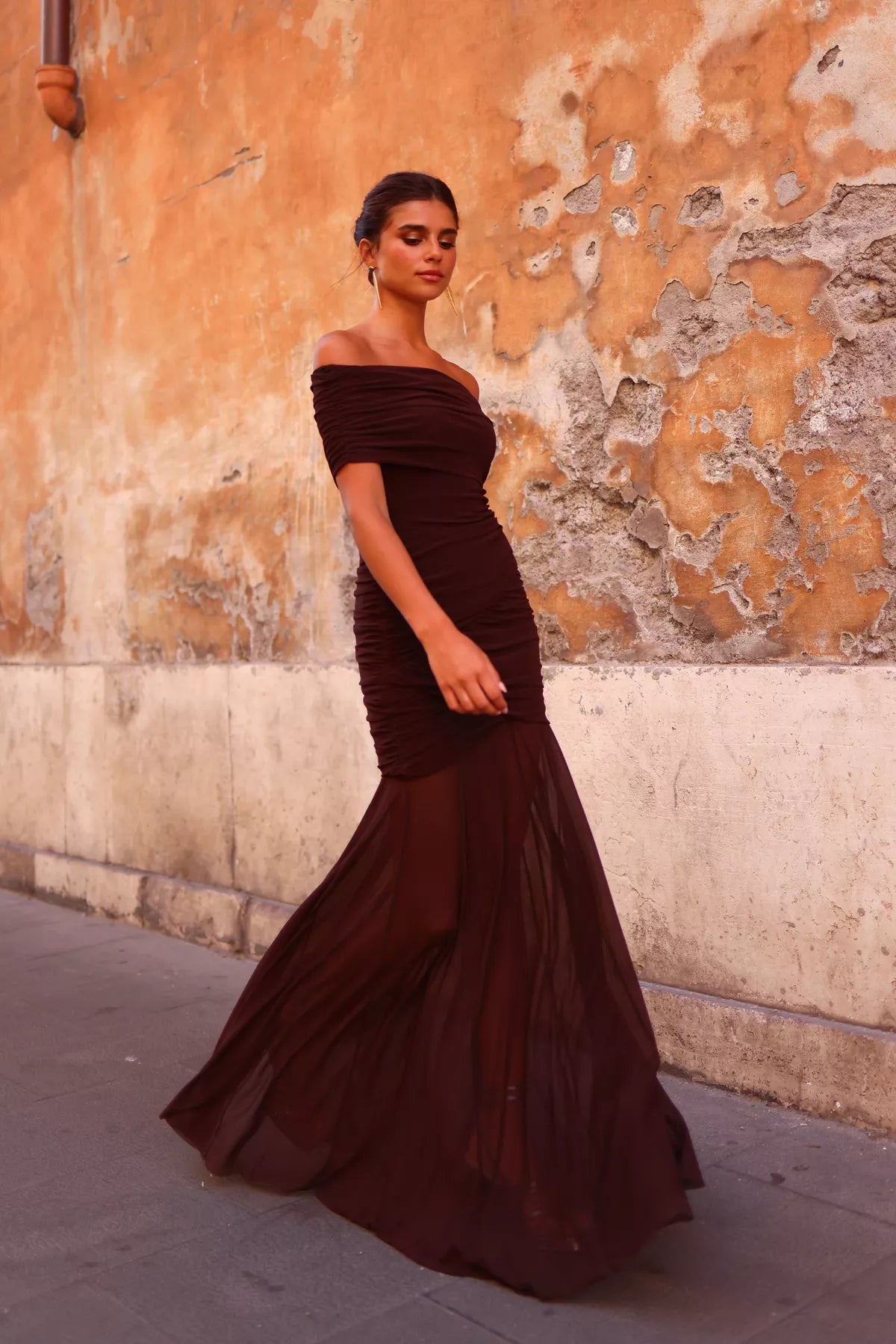 Aisha Brown Dress