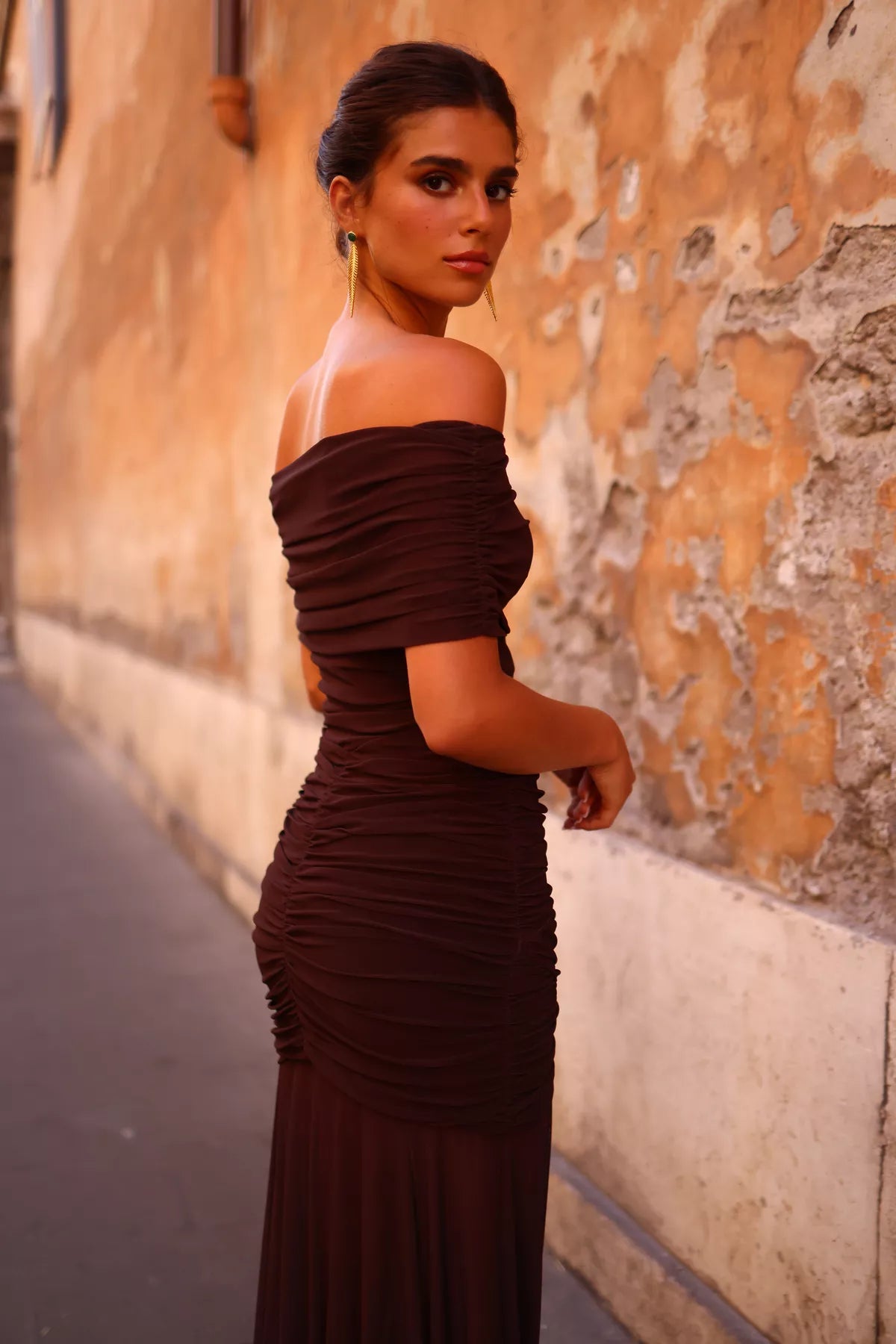 Aisha Brown Dress
