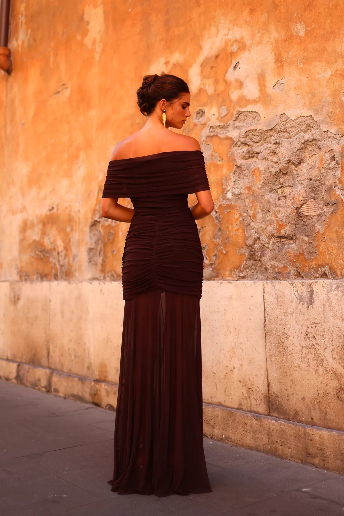 Aisha Brown Dress